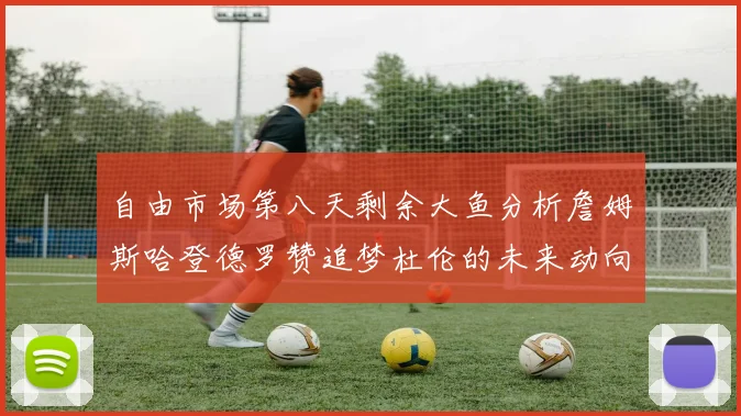 自由市场第八天剩余大鱼分析詹姆斯哈登德罗赞追梦杜伦的未来动向
