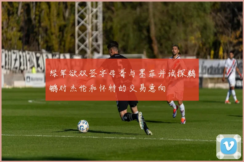 绿军欲双签字母哥与墨菲并试探鹈鹕对杰伦和怀特的交易意向